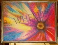 Full Bloom Oil Pastel Painting by Laura Wheeler